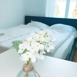 check availability